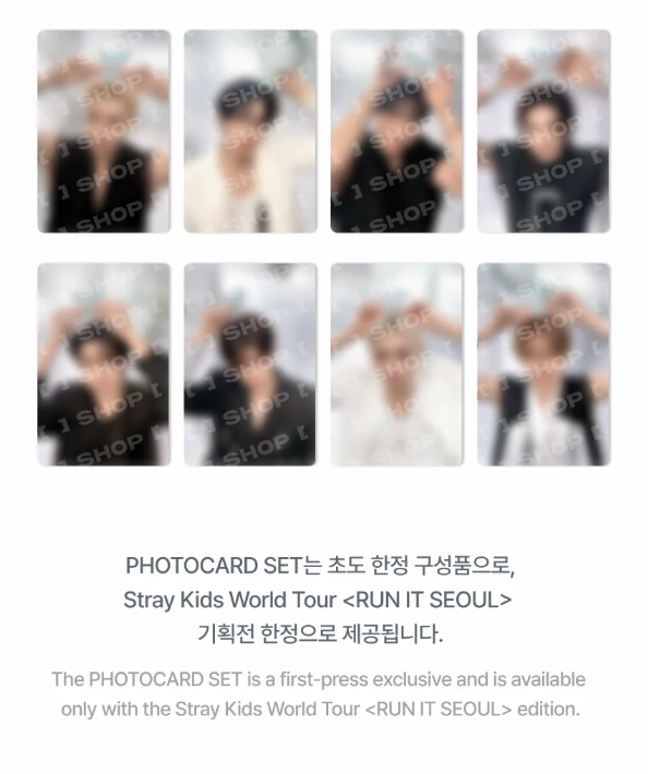 PRE-ORDER: STRAY KIDS - RUN IT WORLD TOUR IN SEOUL OFFICIAL MD TASY PLUSH BABY VER