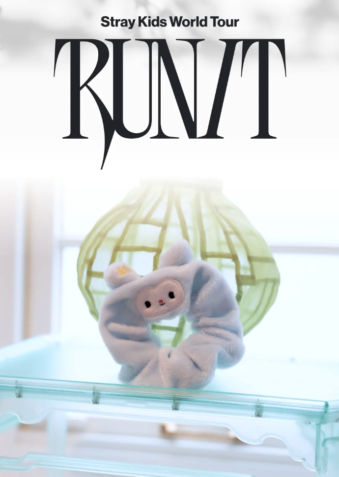 PRE-ORDER: STRAY KIDS - RUN IT WORLD TOUR IN SEOUL OFFICIAL MD TASY SCRUNCHIE
